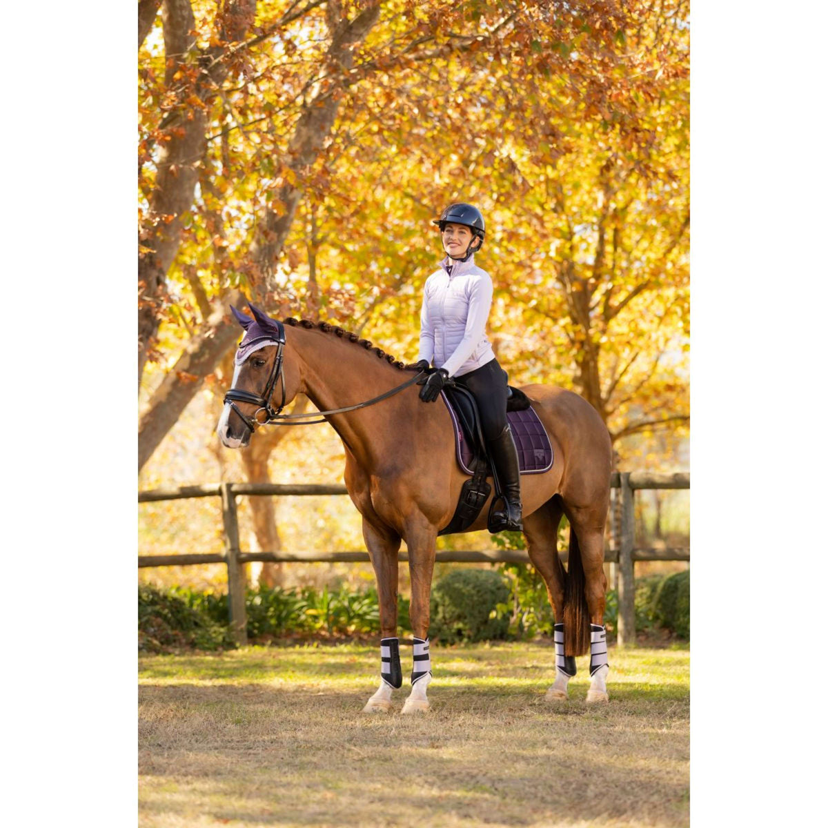 LeMieux Jas Juliette Kort Lilac