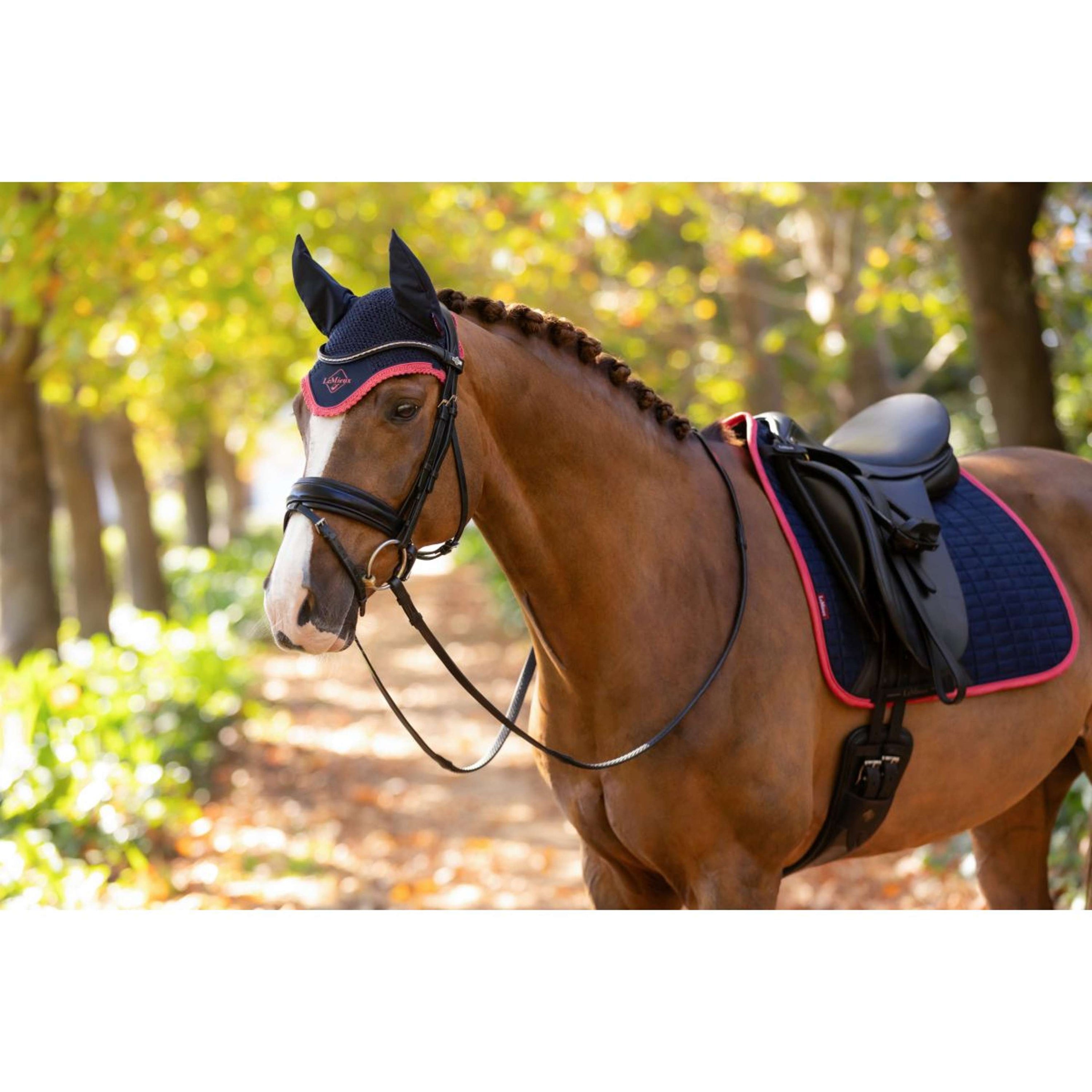 LeMieux Oornetje Classic Navy/Cranberry LeMieux Oornetje Classic Navy/Cranberry