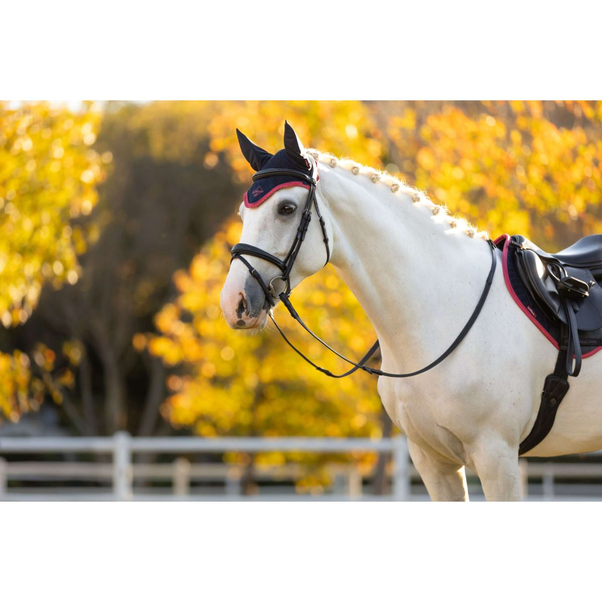 LeMieux Oornetje Classic Navy/Cranberry