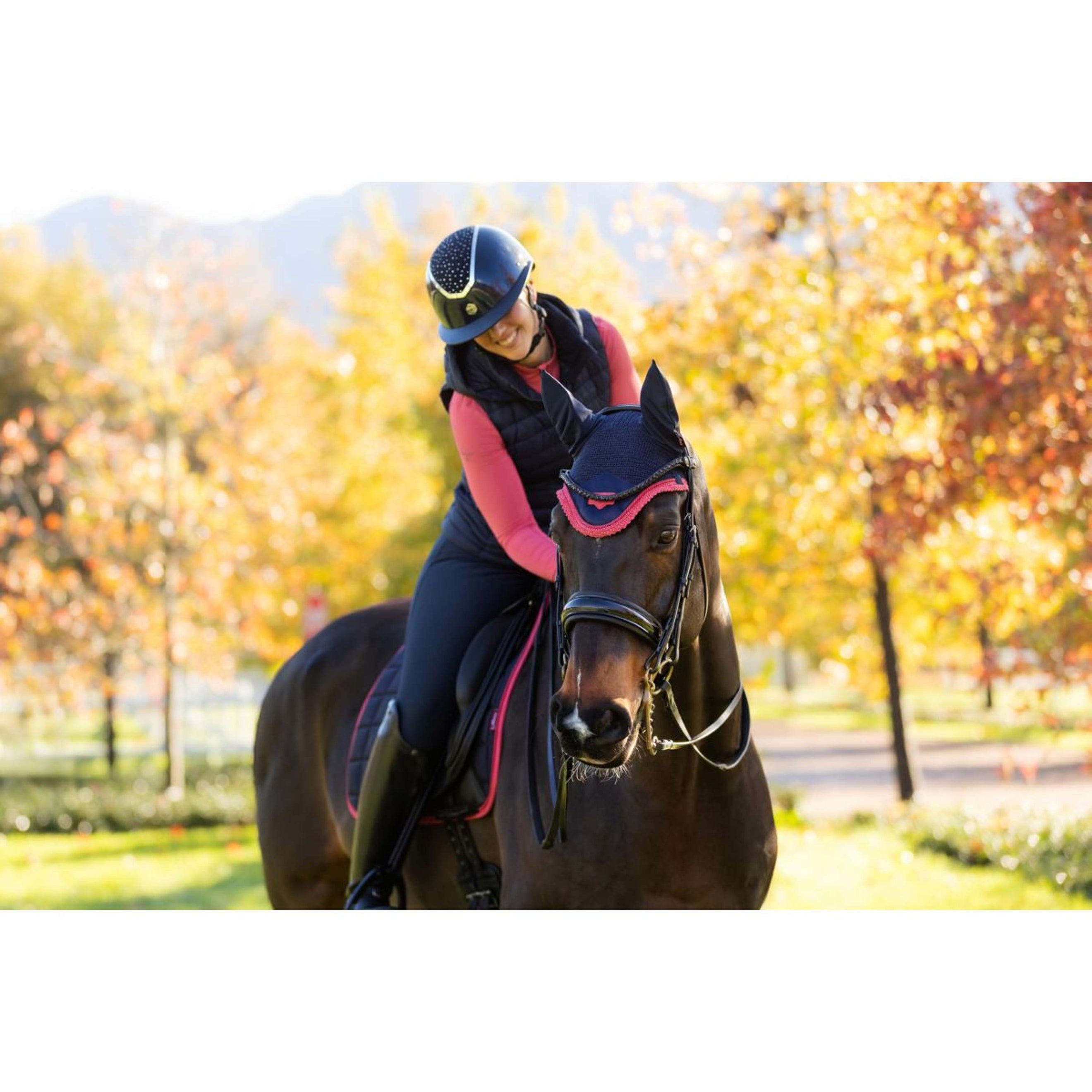 LeMieux Oornetje Loire Navy/Cranberry LeMieux Oornetje Loire Navy/Cranberry