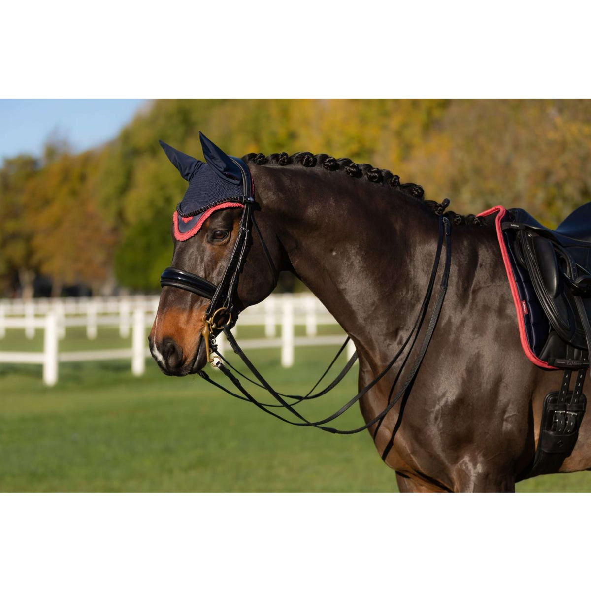 LeMieux Oornetje Loire Navy/Cranberry