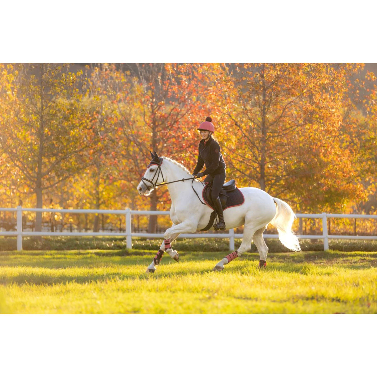 LeMieux Zadeldekje Suede Springen Navy/Cranberry