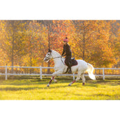 LeMieux Zadeldekje Suede Springen Navy/Cranberry