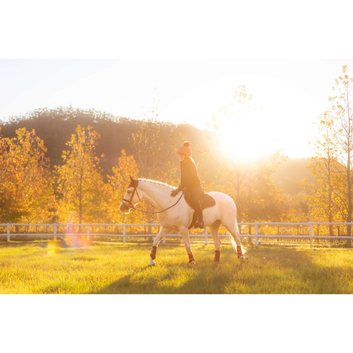LeMieux Zadeldekje Suede Springen Navy/Cranberry