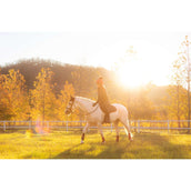 LeMieux Zadeldekje Suede Springen Navy/Cranberry