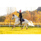 LeMieux Zadeldekje Suede Springen Navy/Cranberry