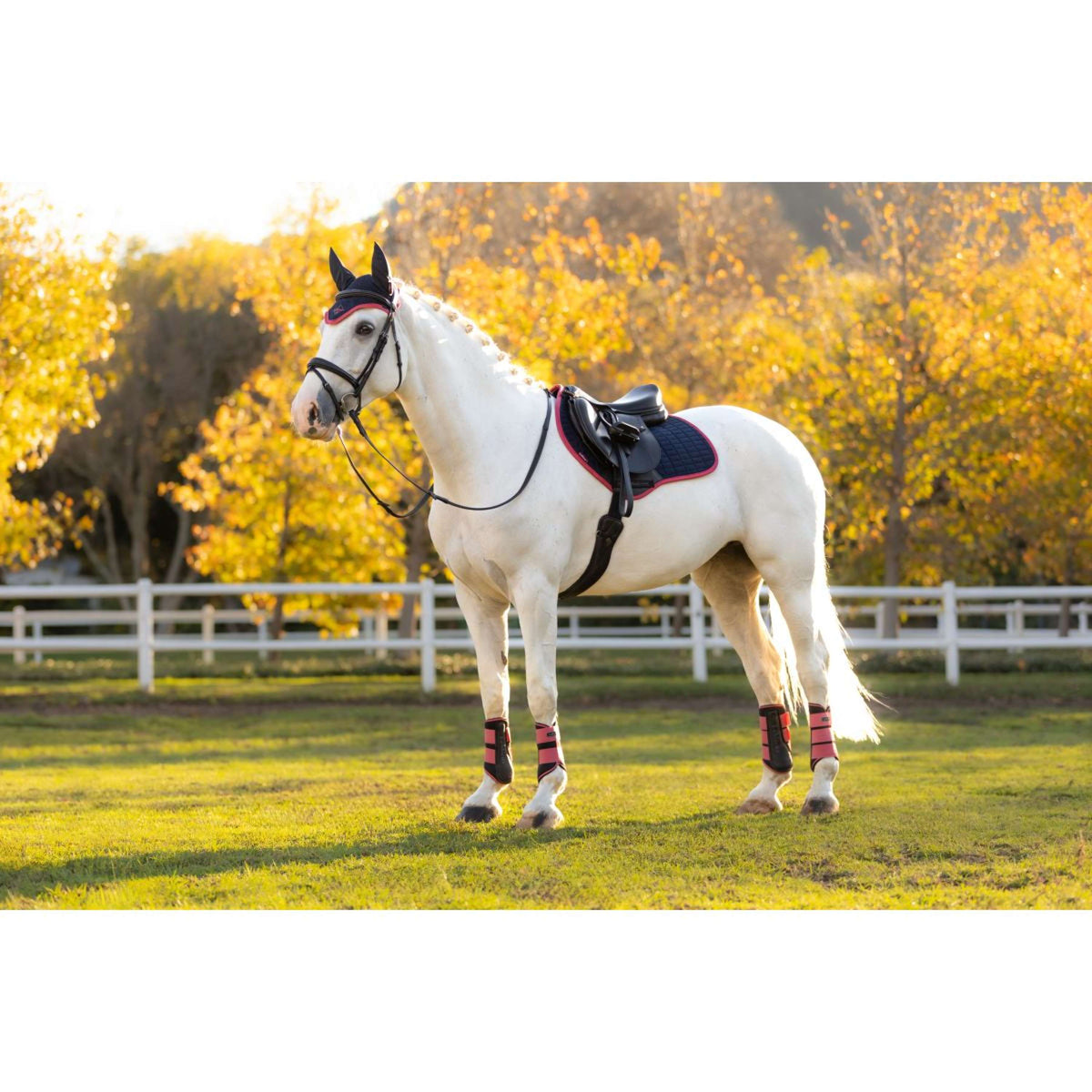 LeMieux Zadeldekje Suede Springen Navy/Cranberry