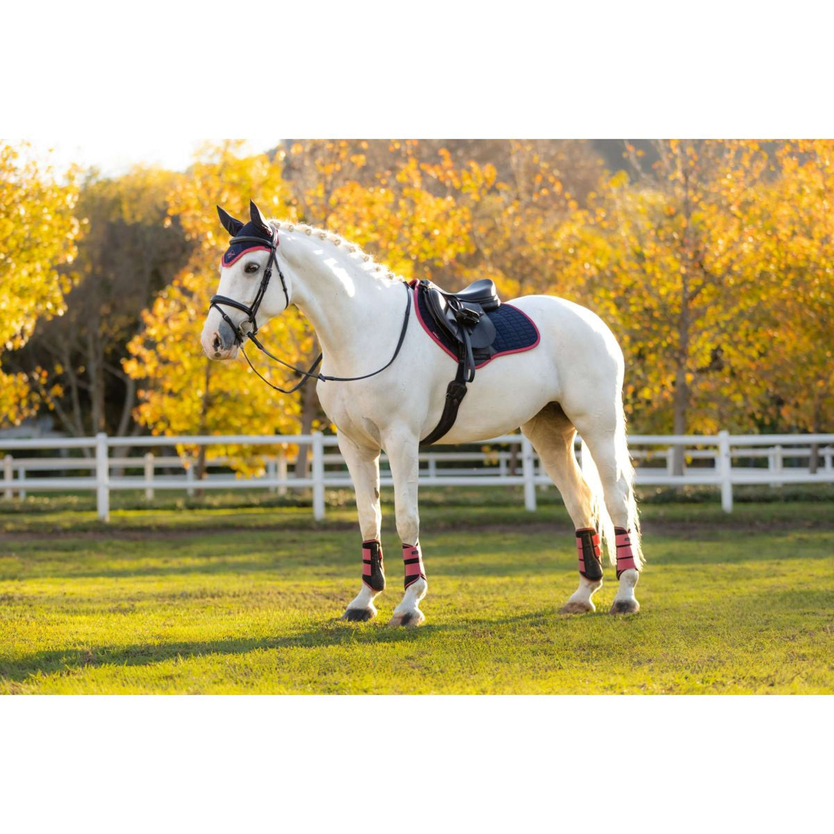 LeMieux Zadeldekje Suede Springen Navy/Cranberry