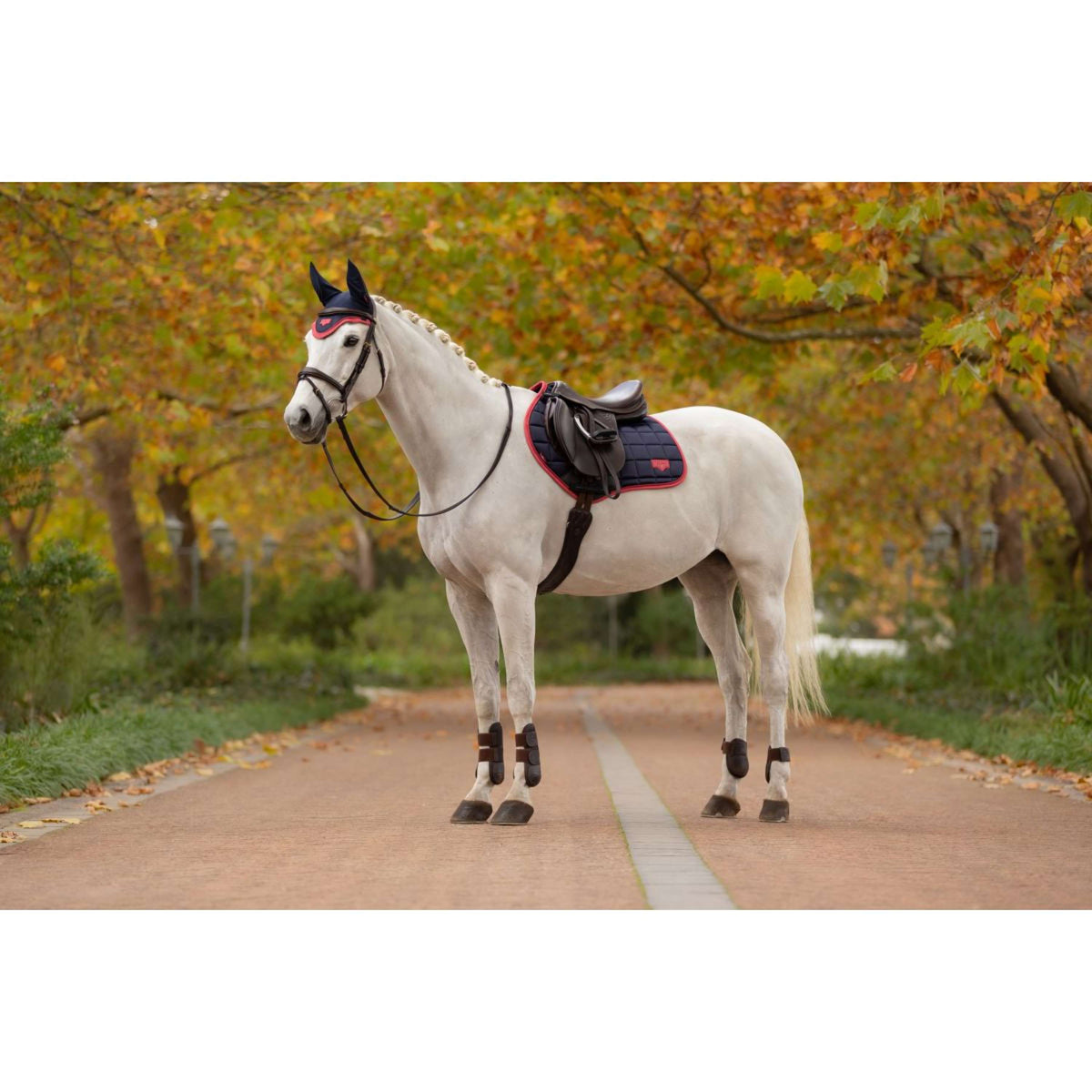 LeMieux Zadeldekje Loire Classic Springen Navy/Cranberry