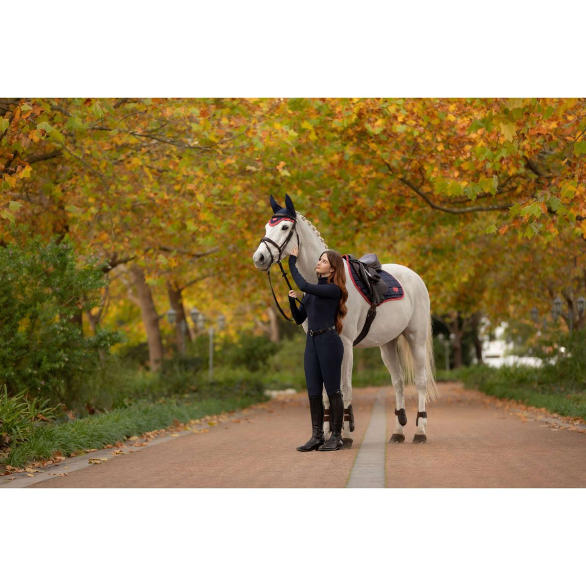 LeMieux Zadeldekje Loire Classic Springen Navy/Cranberry