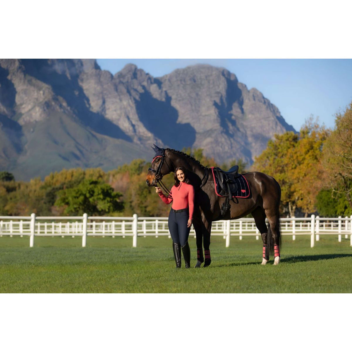 LeMieux Zadeldekje Loire Classic Dressuur Navy/Cranberry