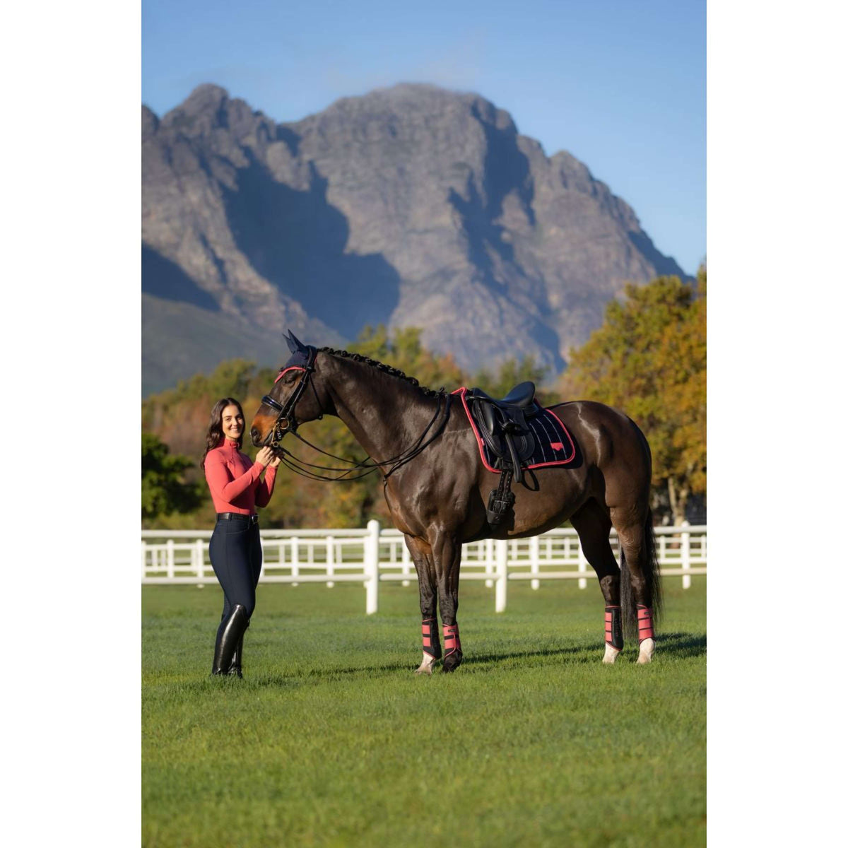 LeMieux Zadeldekje Loire Classic Dressuur Navy/Cranberry