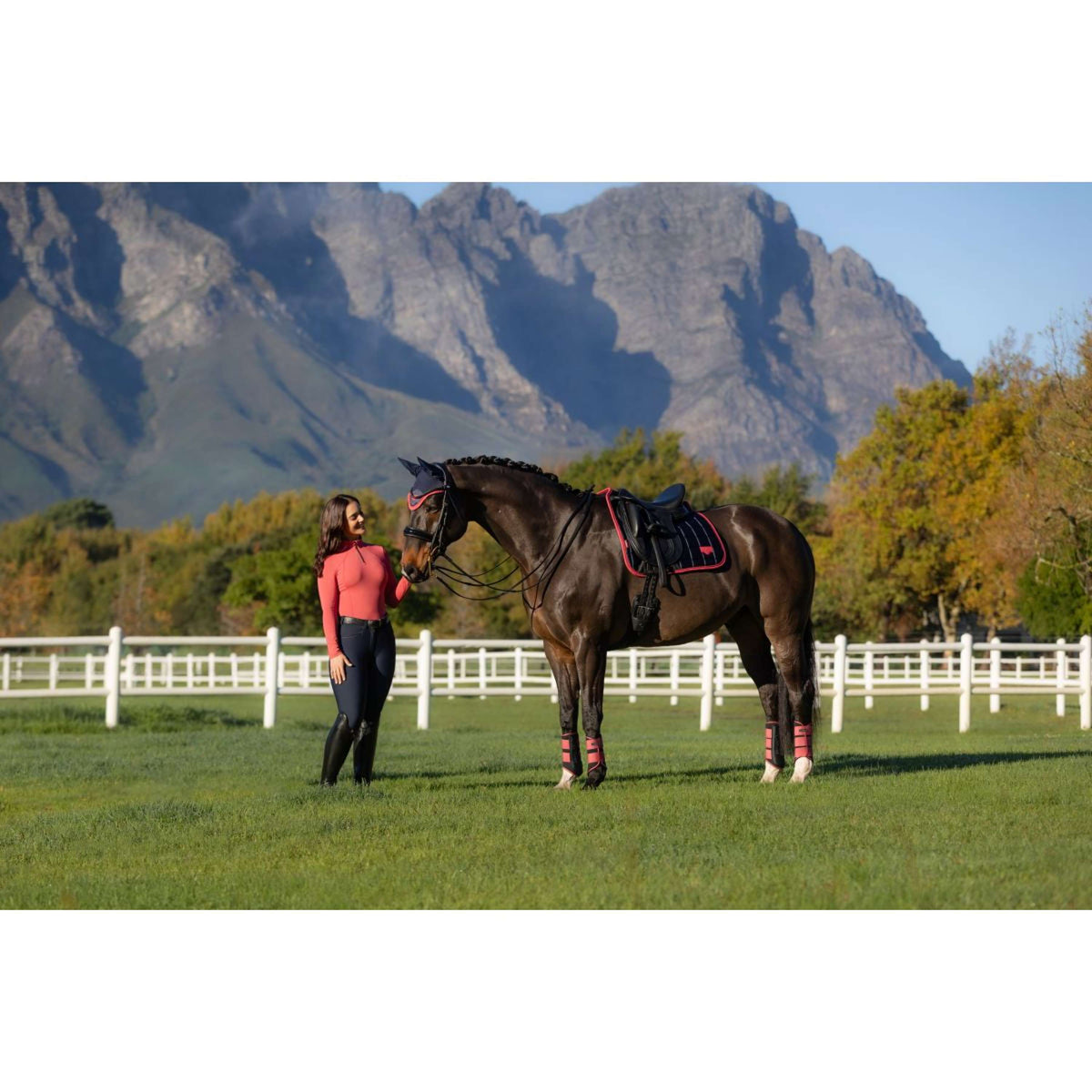 LeMieux Zadeldekje Loire Classic Dressuur Navy/Cranberry