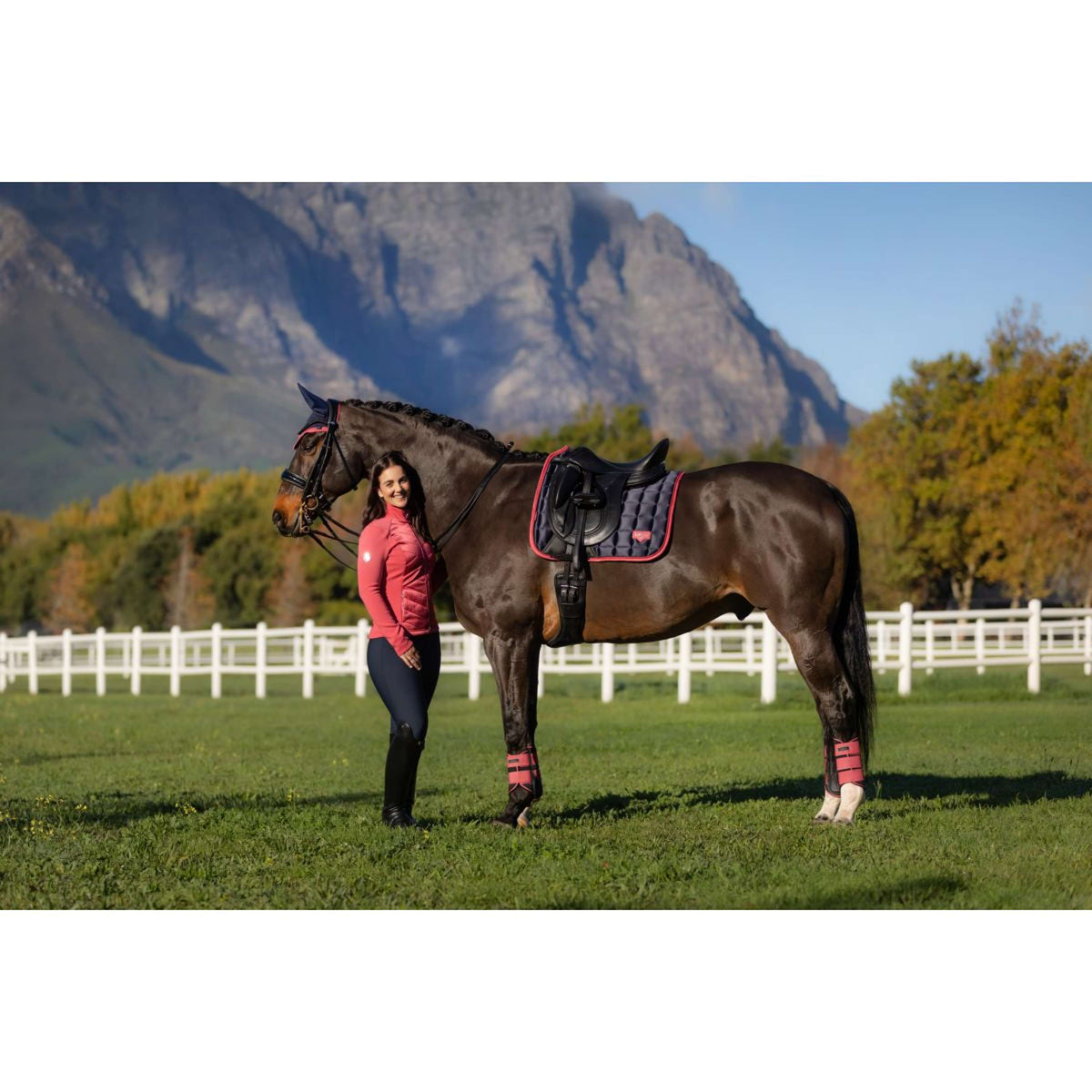 LeMieux Zadeldekje Loire Classic Dressuur Navy/Cranberry