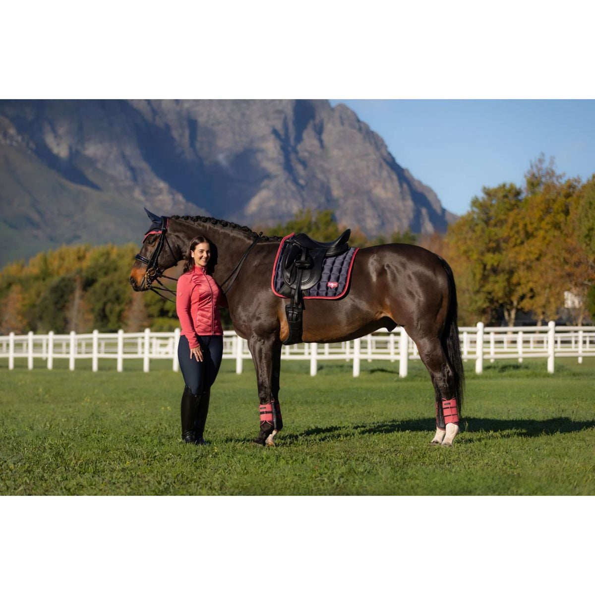 LeMieux Zadeldekje Loire Classic Dressuur Navy/Cranberry