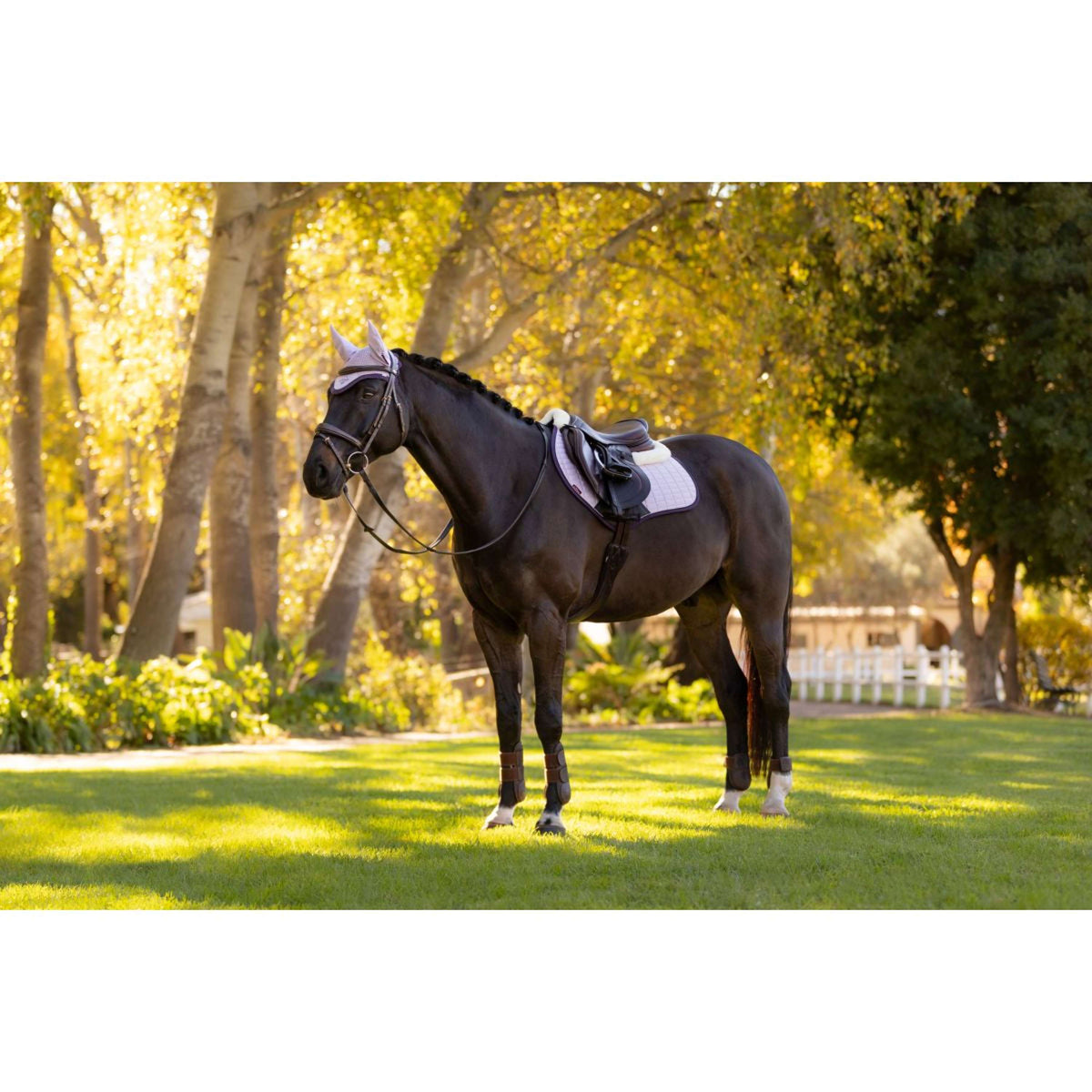 LeMieux Zadeldekje Merino Suede Springen Lilac