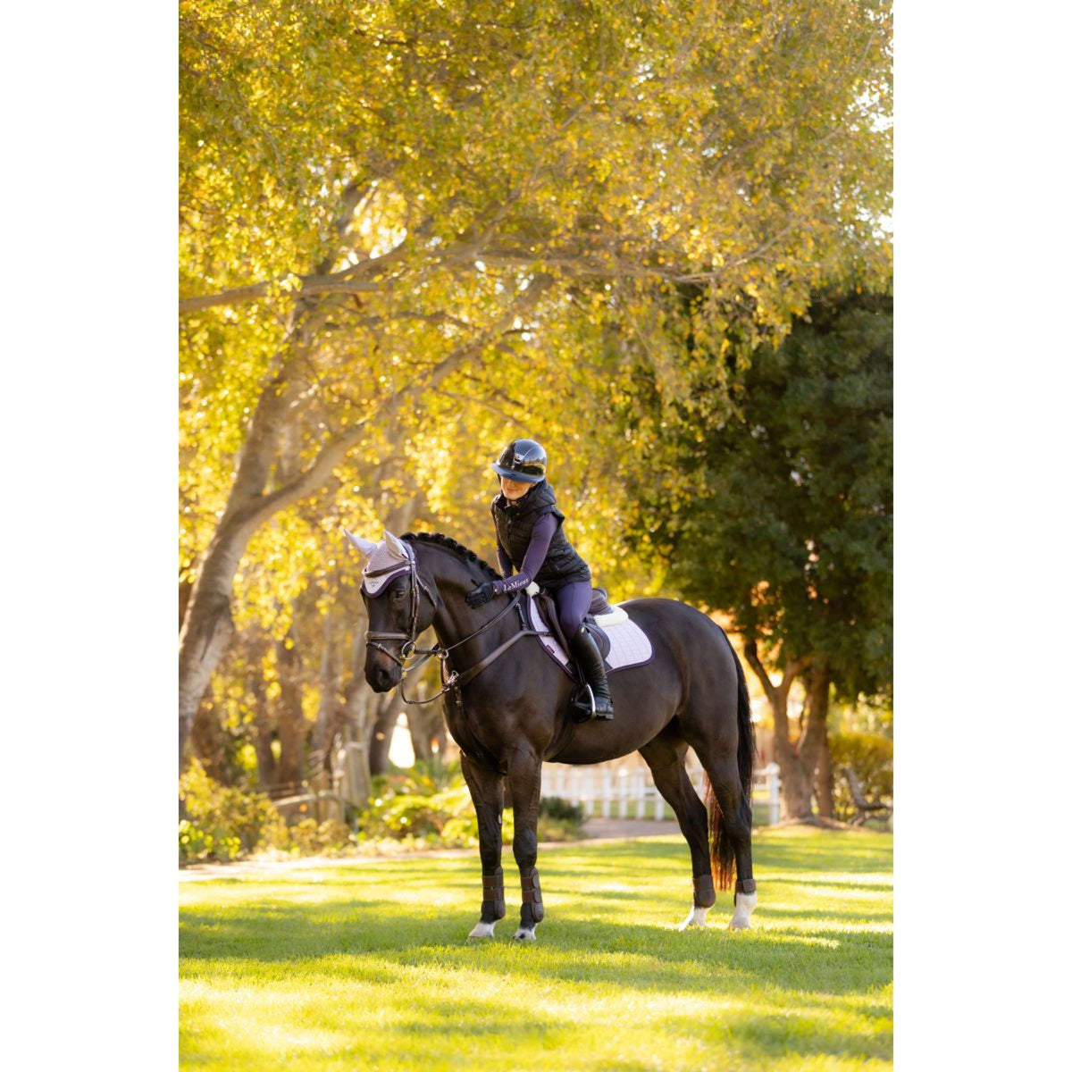 LeMieux Zadeldekje Merino Suede Springen Lilac