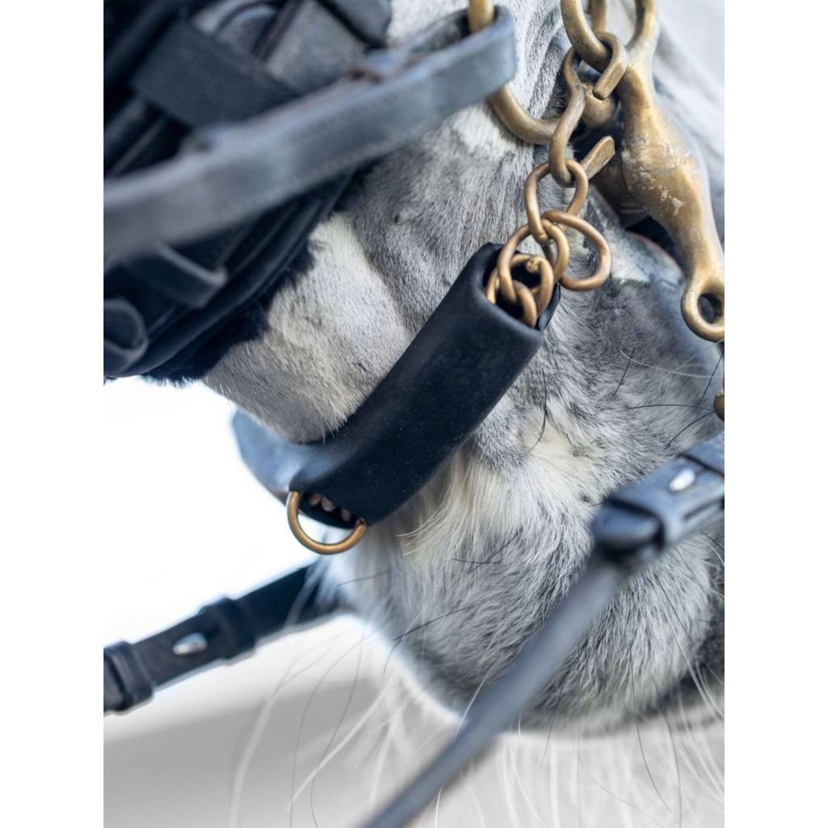 LeMieux Kinketting Guard Zwart LeMieux Kinketting Guard Zwart