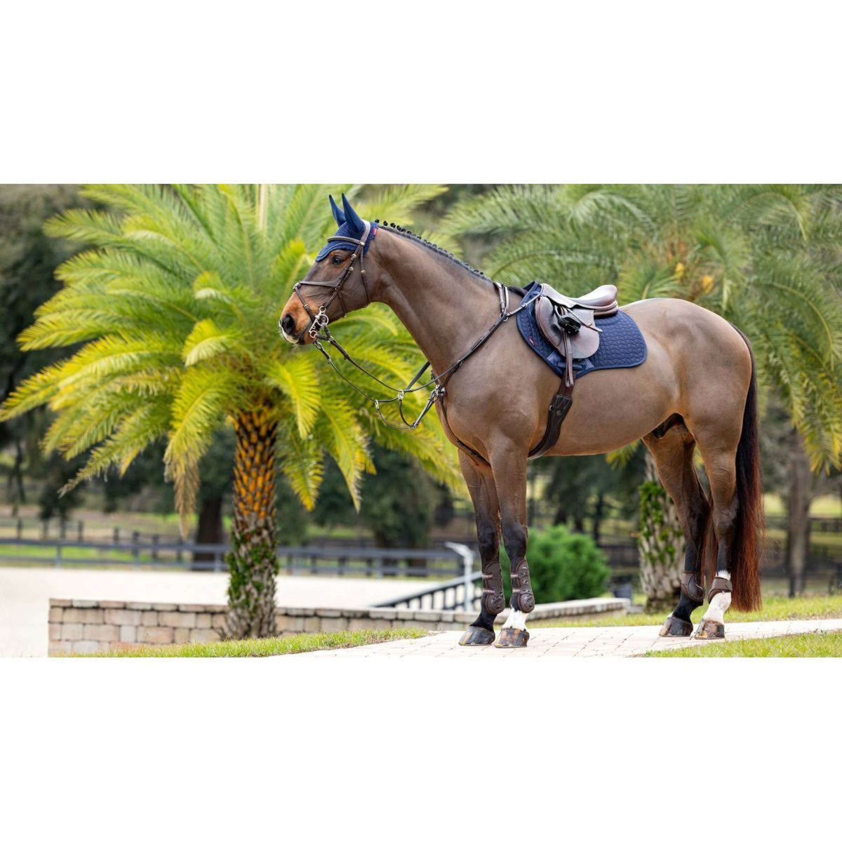 LeMieux Zadeldekje Prosorb Plain 2 Pocket CC Navy