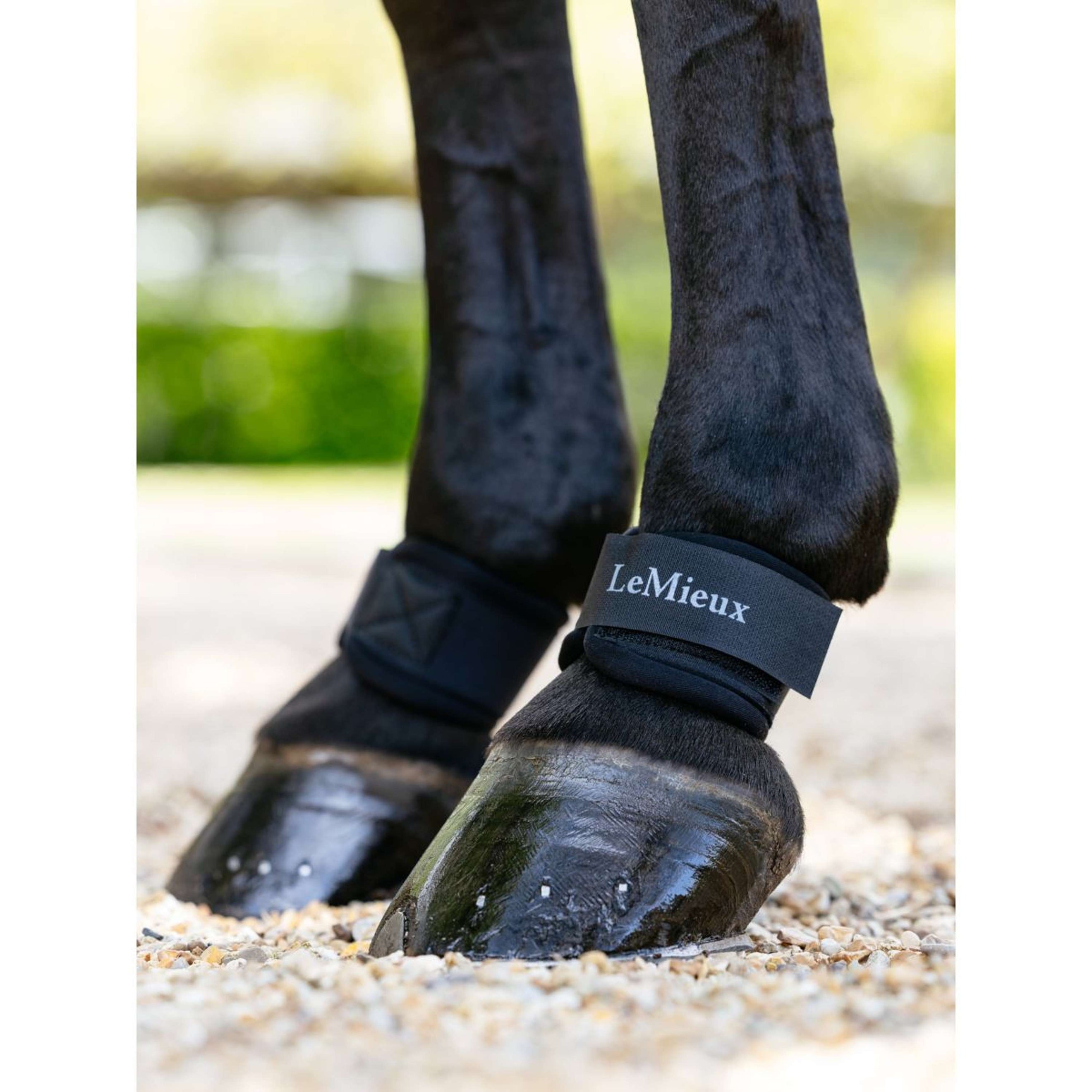 LeMieux Kootbeschermers Neoprene Zwart