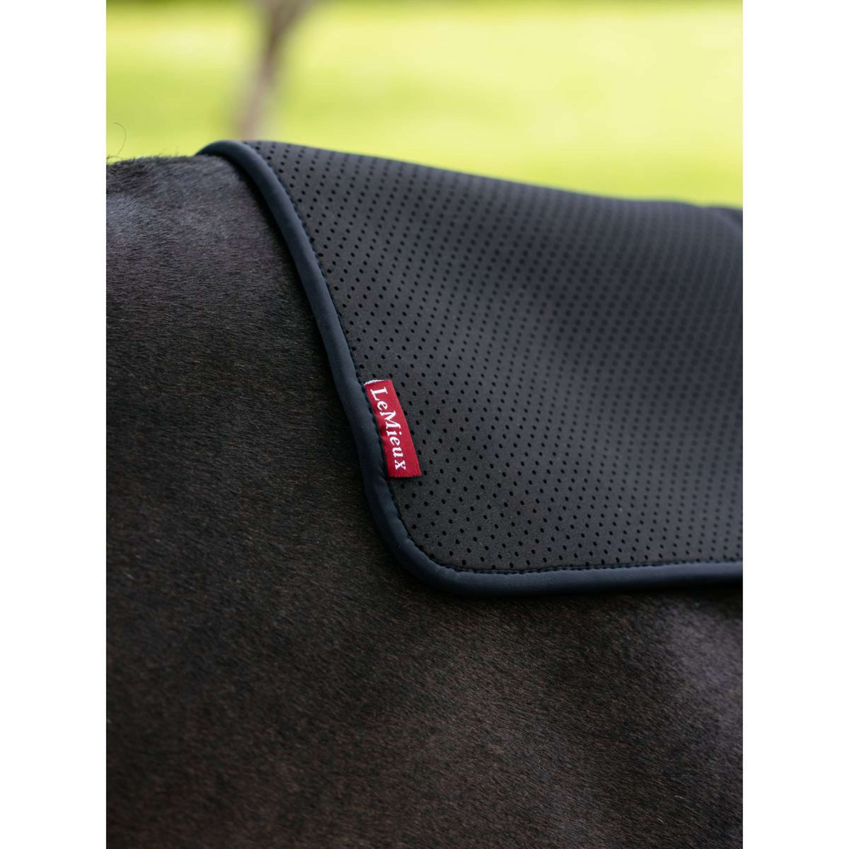 LeMieux Onderlegger Non-slip Square Zwart