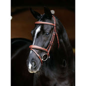 LeMieux Hoofdstel Kudos Competition Flash Chestnut