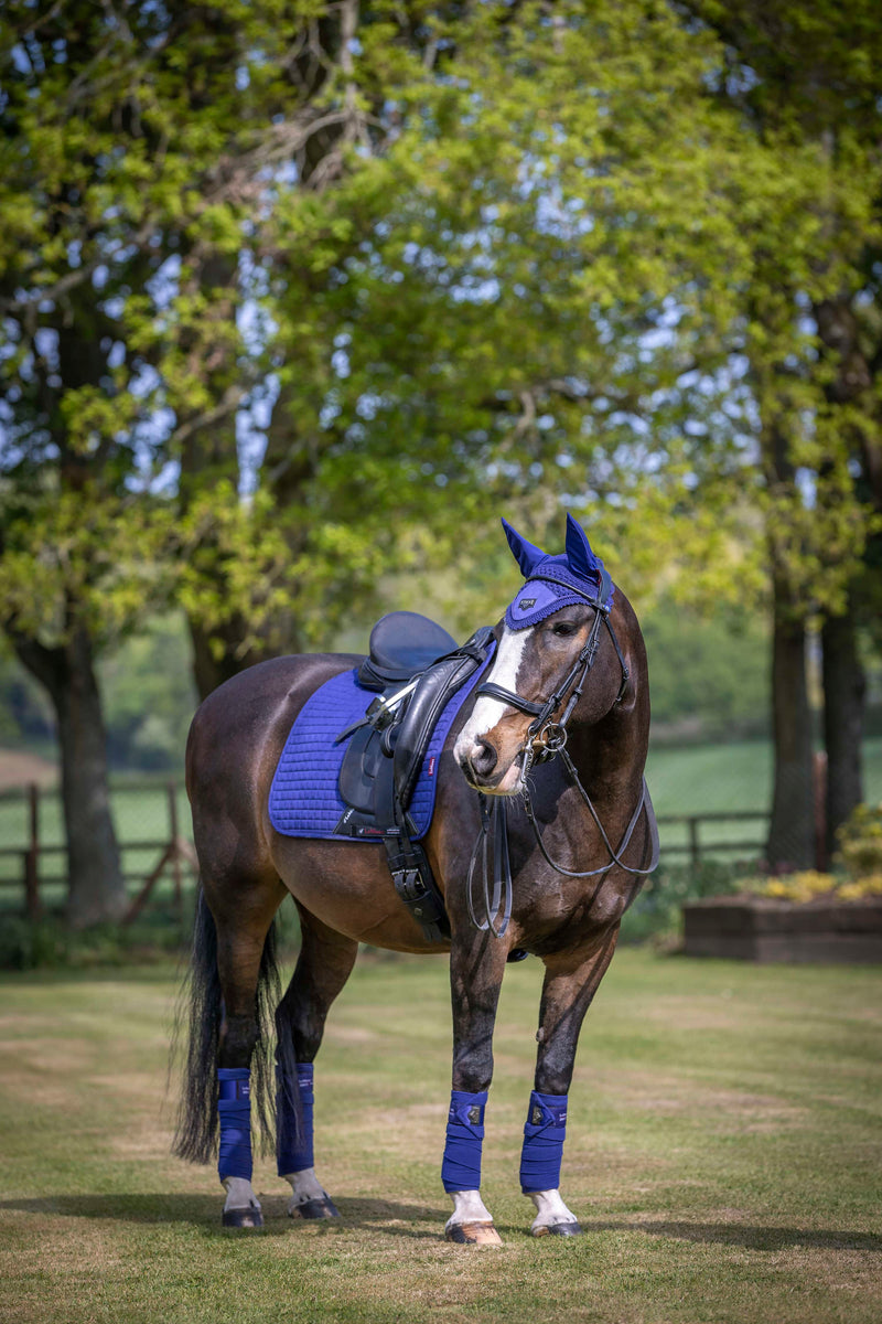 LeMieux Benetton Blue