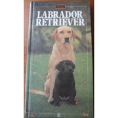 Labrador Retrievers