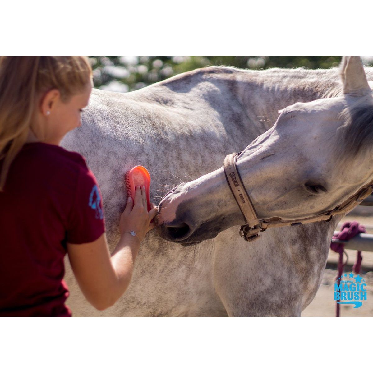 Magic Brush Borstel Pink Pony Pink