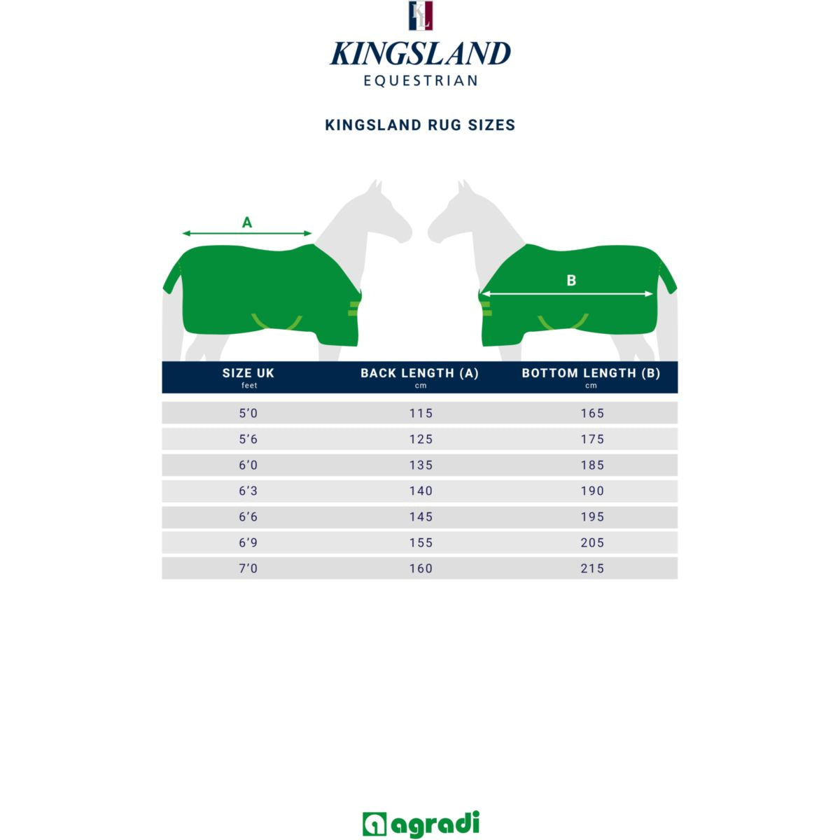 Kingsland Turnout Rug Primary 400g Navy