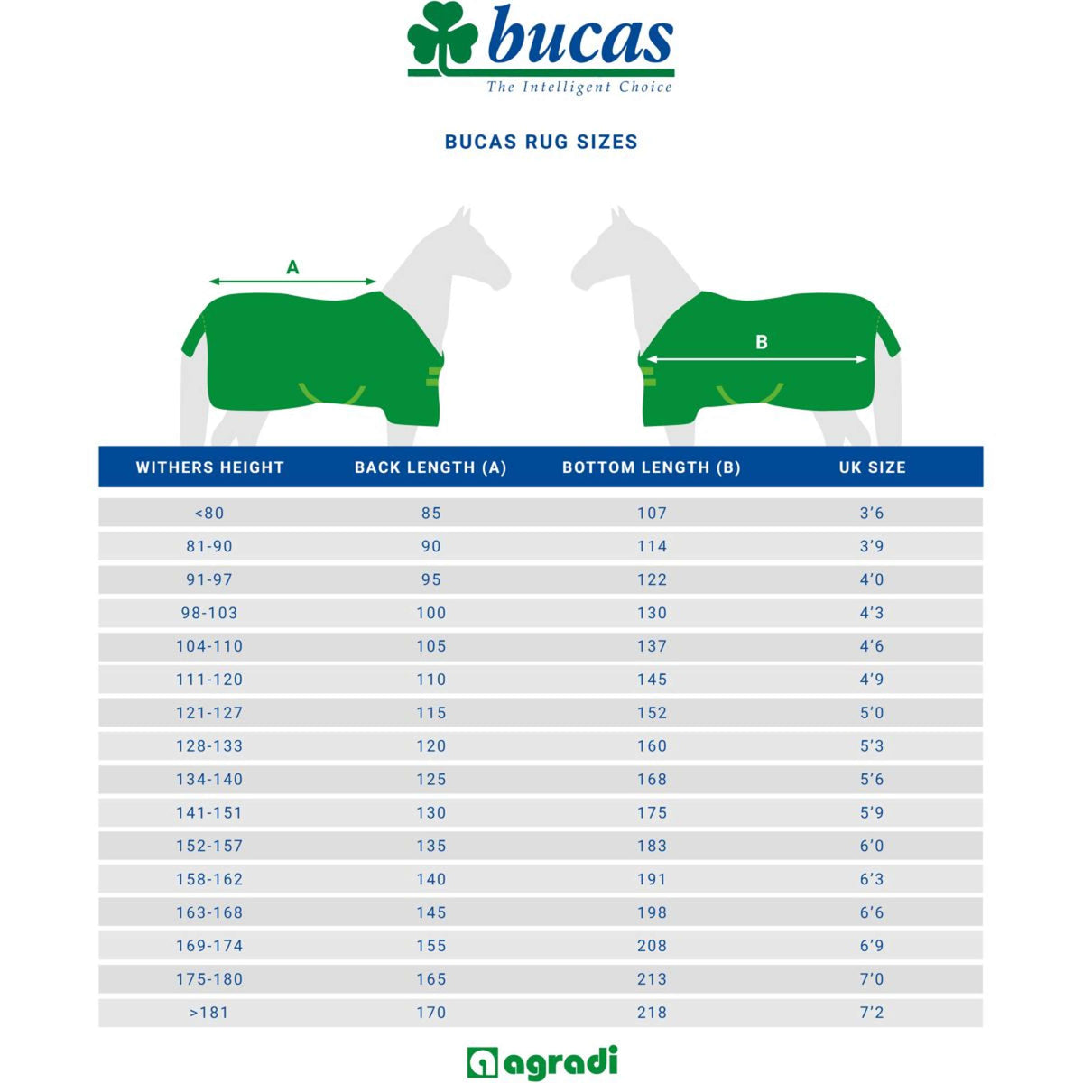 Bucas Therapy Turnout 150g Navy/Orange