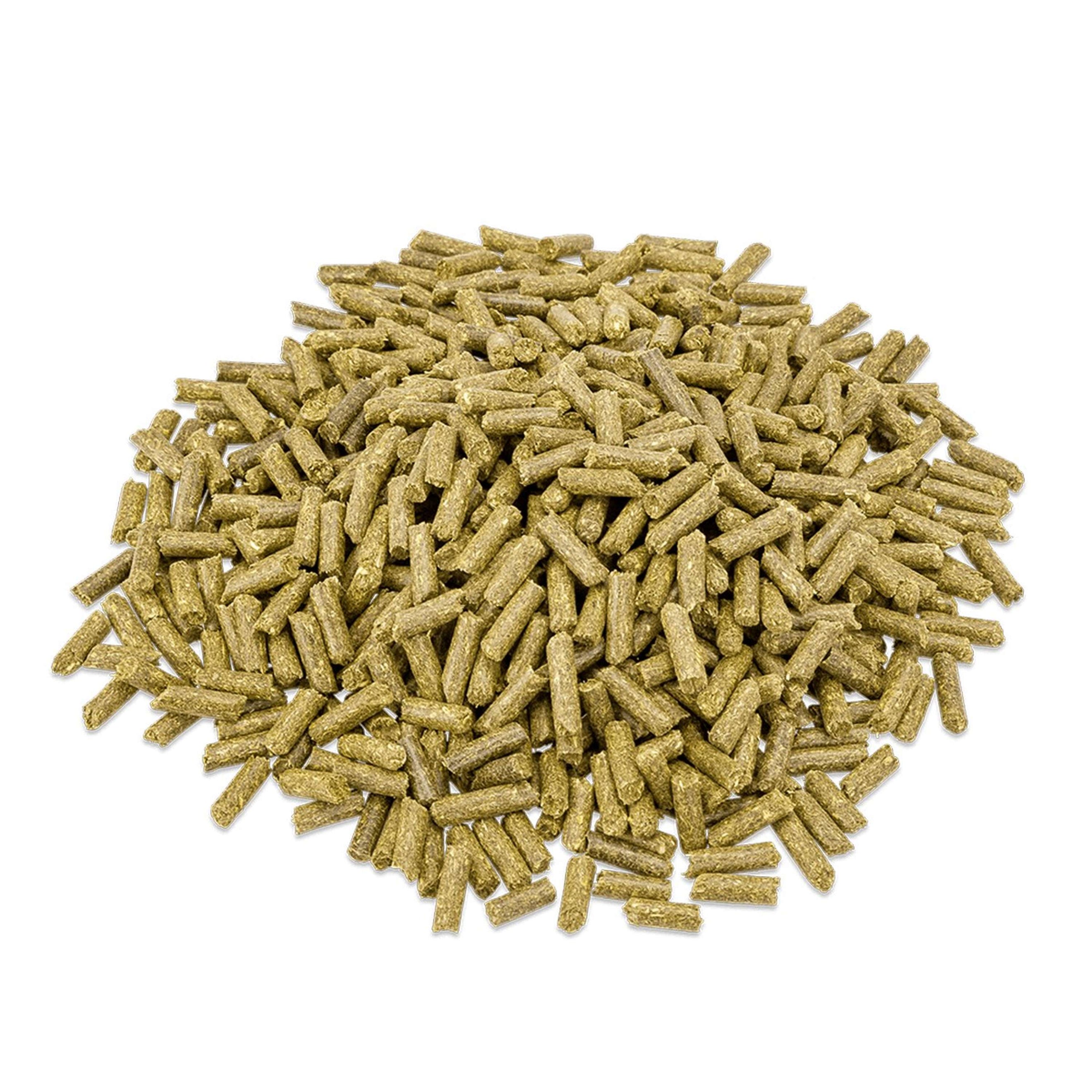 Metazoa BalanceFit Timothee Metazoa BalanceFit Timothee