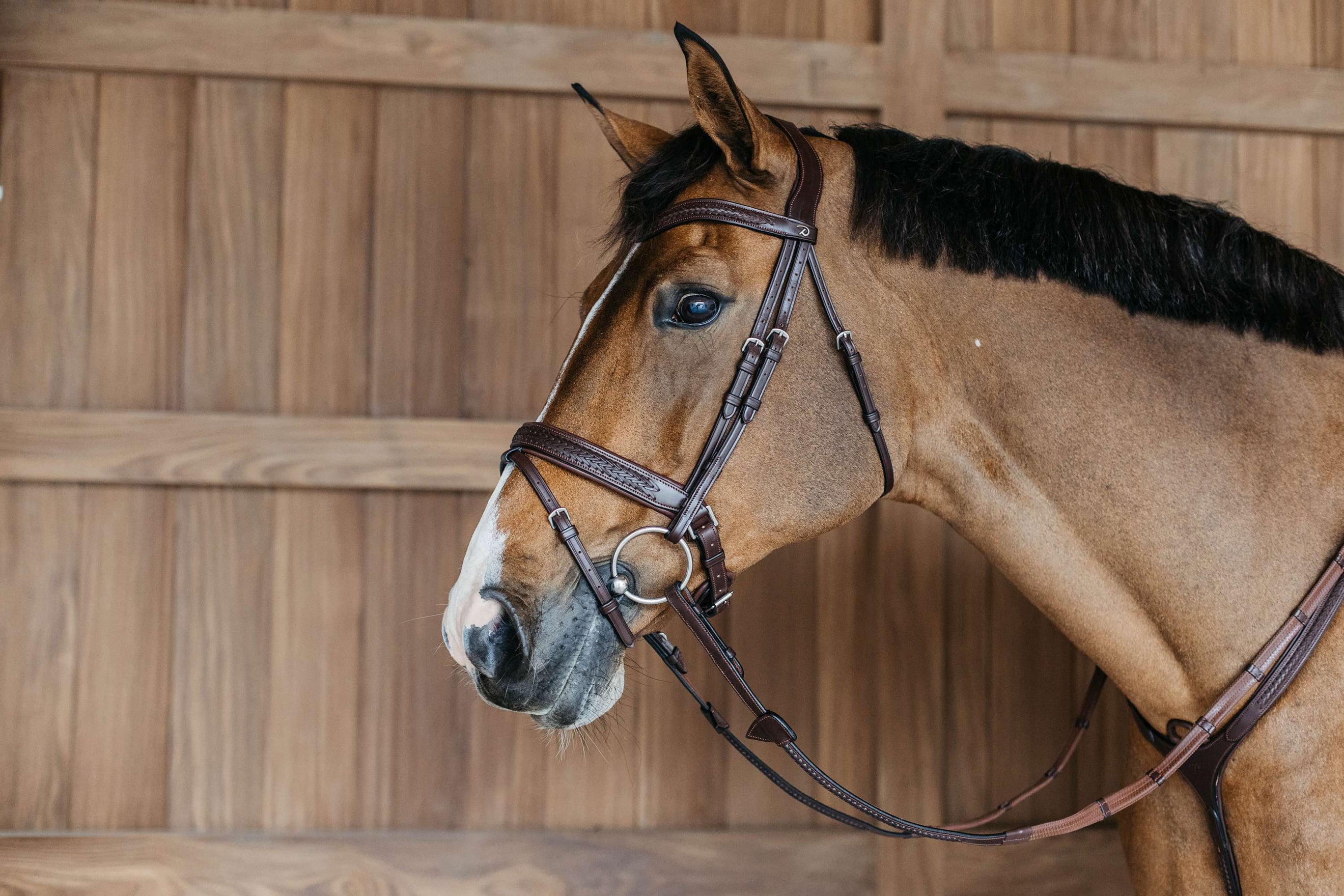Dyon Hoofdstel Flash Pull-Back Gevlochten Bruin Dyon Hoofdstel Flash Pull-Back Gevlochten Bruin