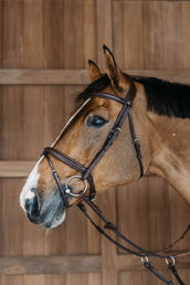 Dyon Hoofdstel Flash Gevlochten Bruin