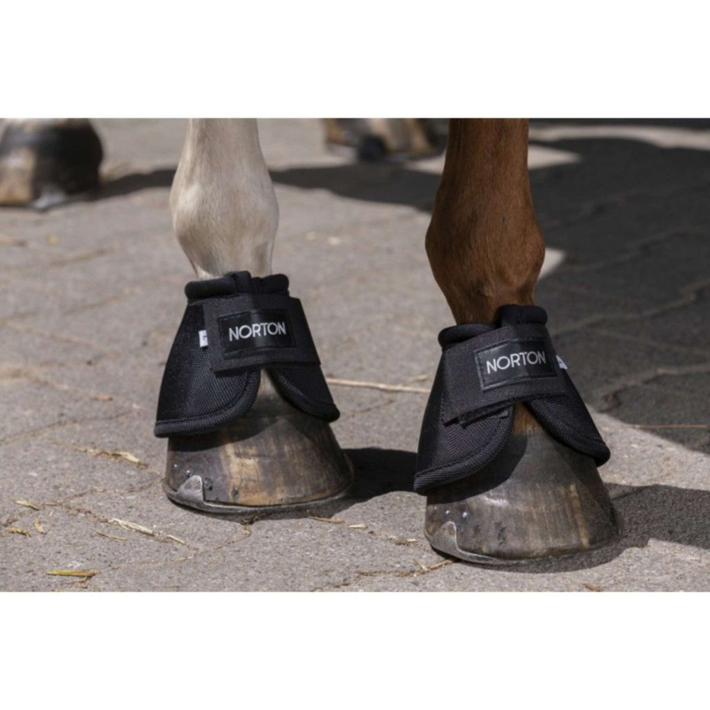 Norton Springschoenen 2520D Zwart