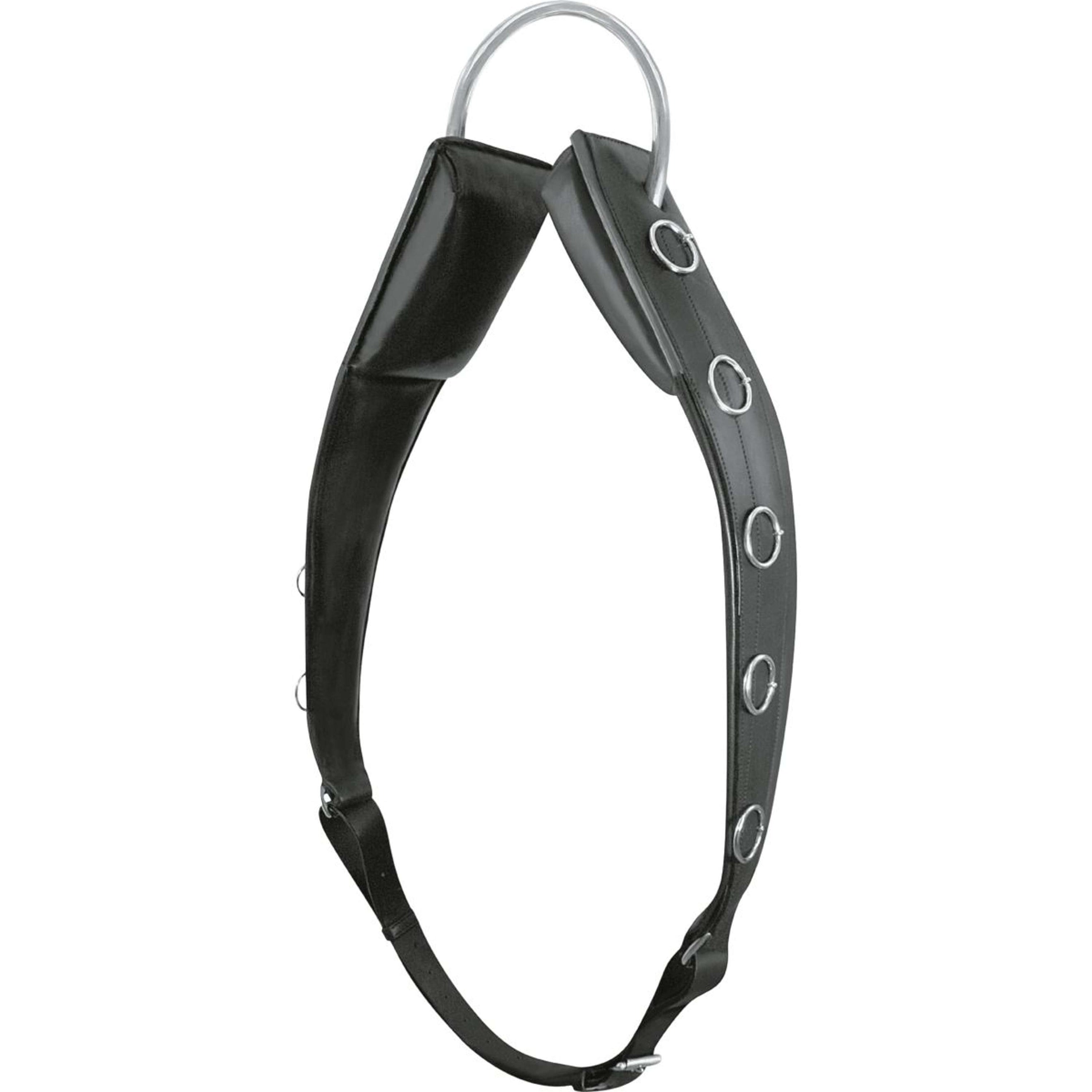 Passier Longeersingel Horst Becker Zwart