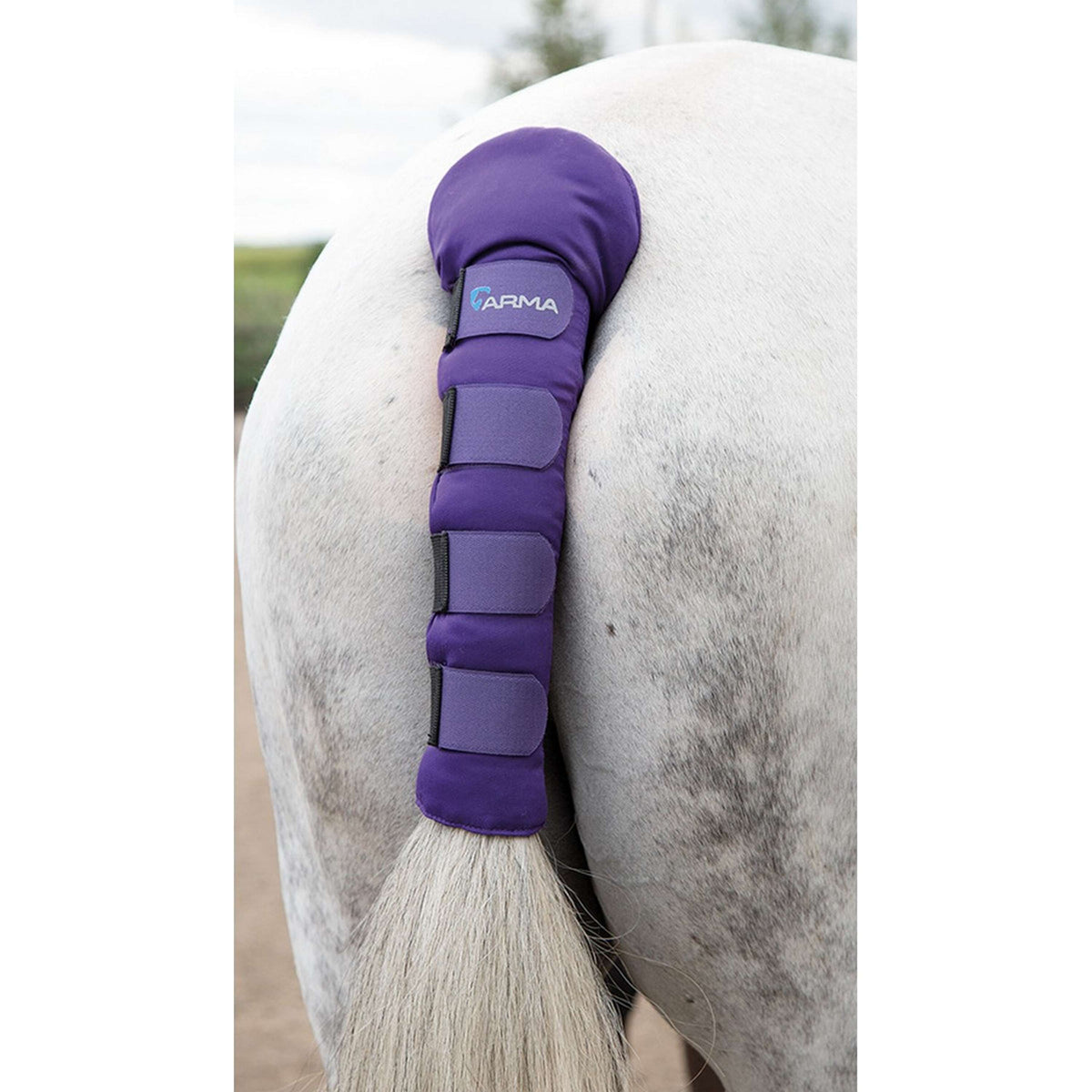 Arma by Shires Staartbeschermer Purple