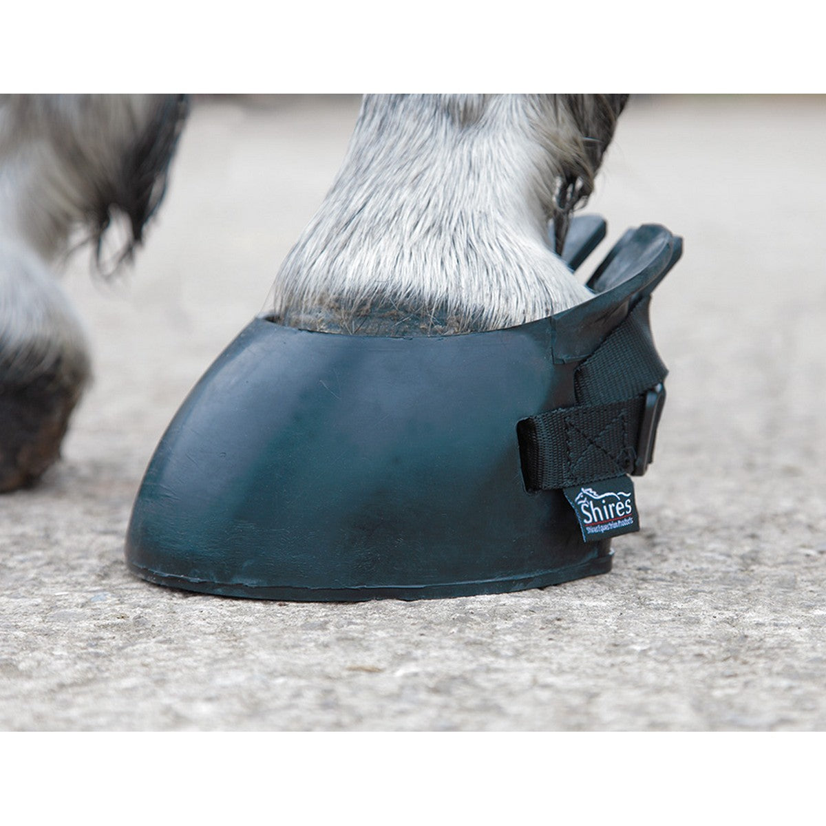 Shires Hoefschoen Temp Black