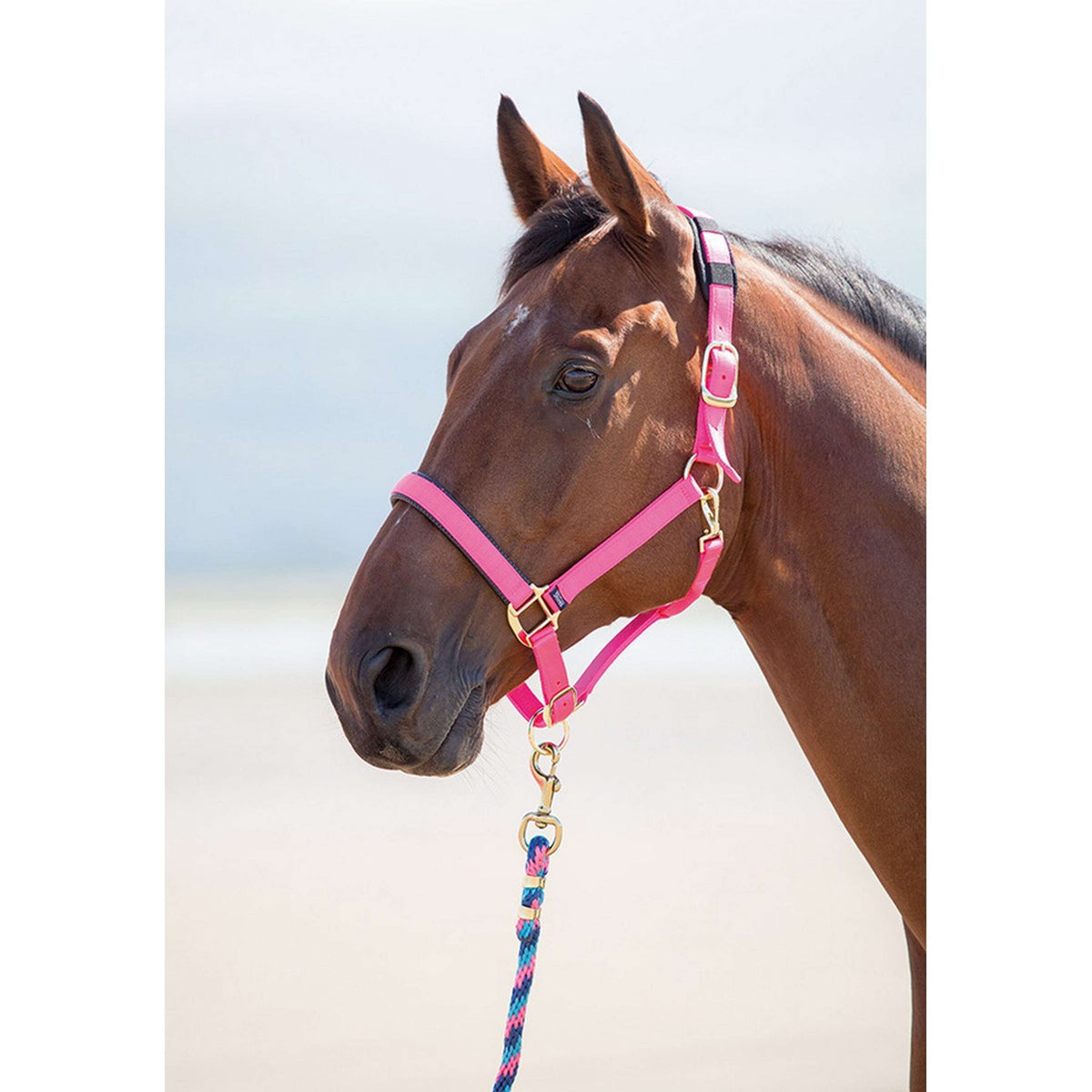 Shires Halster Topaz Nylon Roze