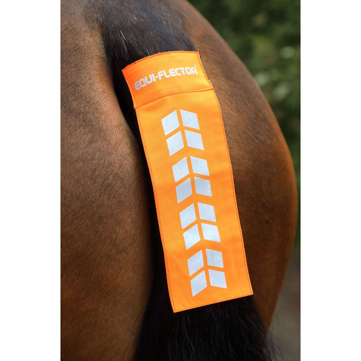 Equi-Flector Staartband Mesh Reflecterend Oranje