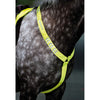 Equi-Flector by Shires Borststuk Reflecterend Fluor Geel