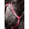 Equi-Flector by Shires Borststuk Reflecterend Fluor Roze