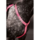 Equi-Flector by Shires Borststuk Reflecterend Fluor Roze