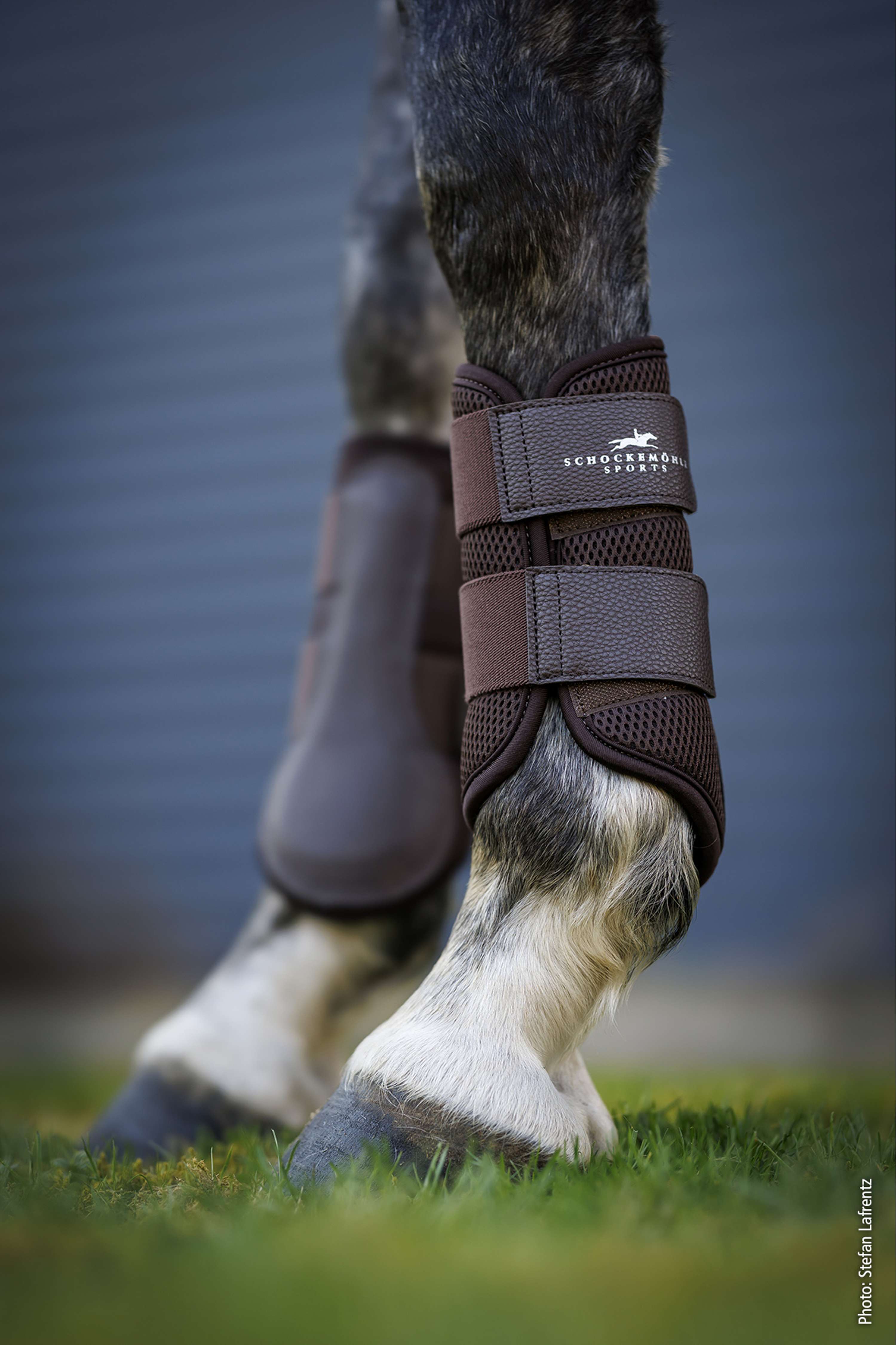Schockemöhle Beenbeschermers Mesh Guards Mocca