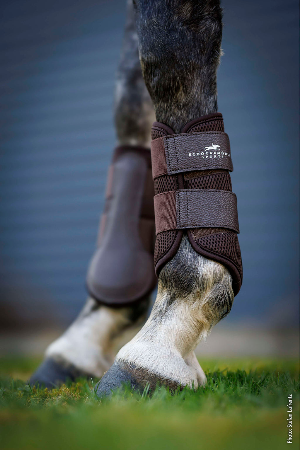 Schockemöhle Beenbeschermers Mesh Guards Mocca