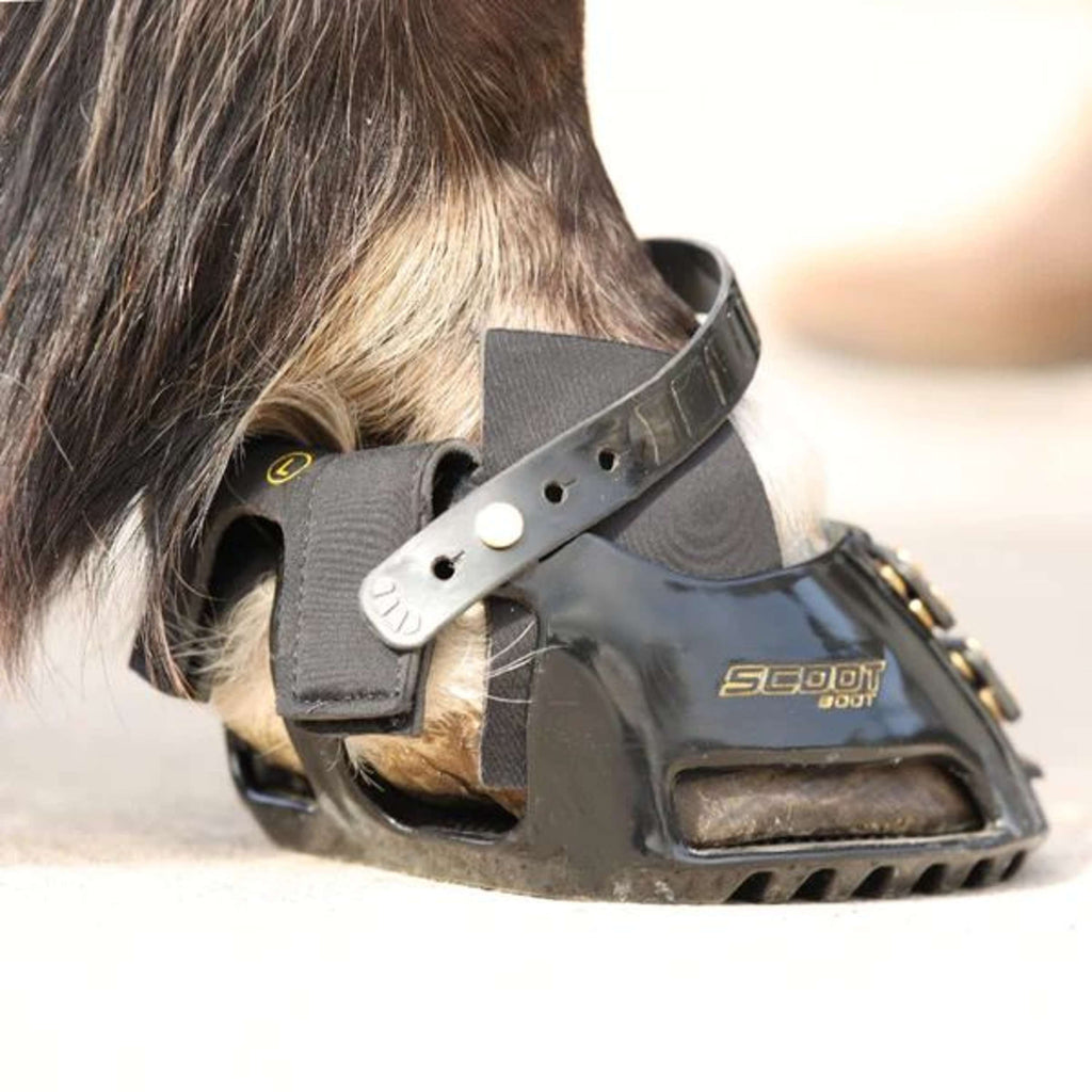 Scoot Boot Hybrid Gaiter Zwart