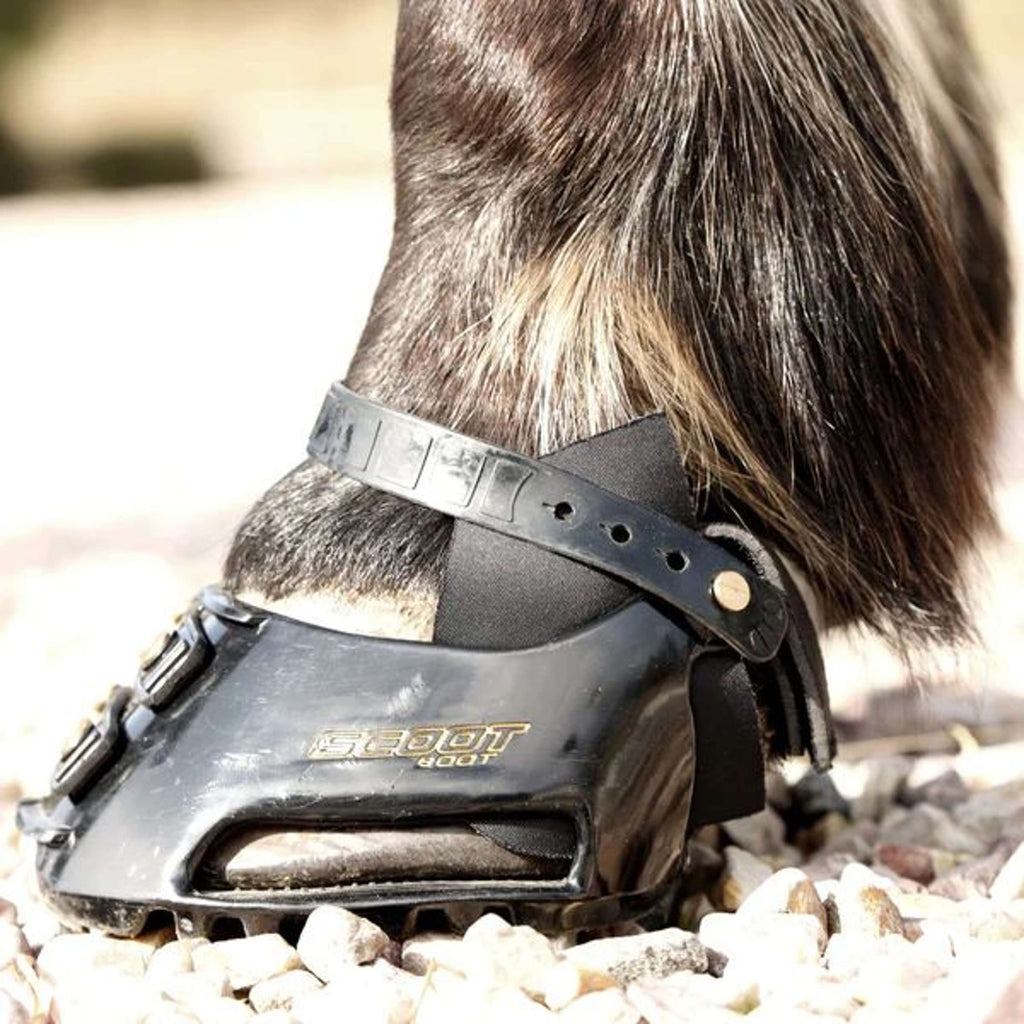 Scoot Boot Hybrid Gaiter Zwart