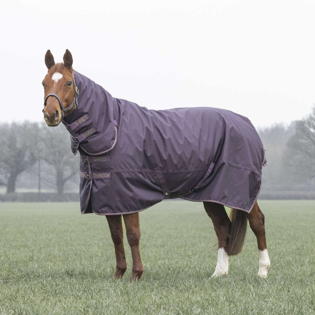 Tempest by Shires Winterdeken Turnout Typhoon 100g Black Cherry