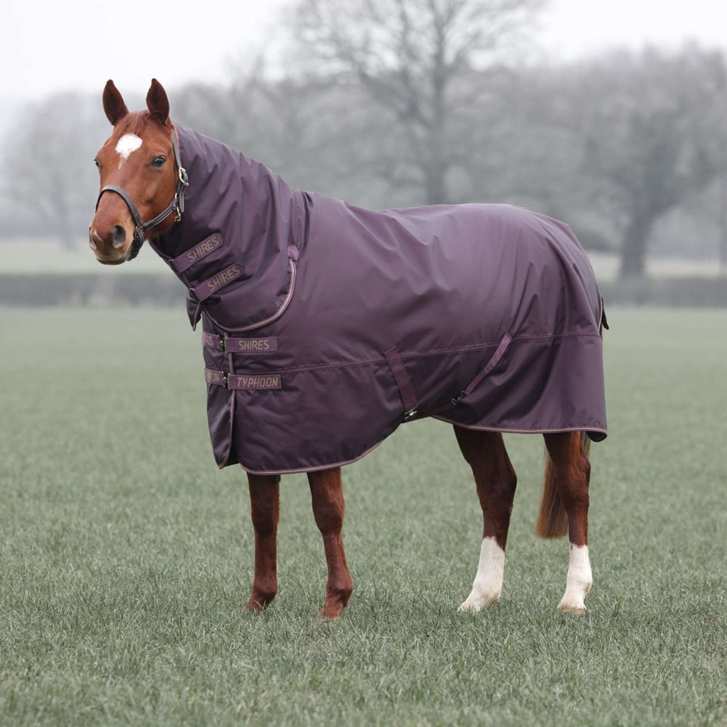 Tempest by Shires Winterdeken Turnout Typhoon 100g Black Cherry