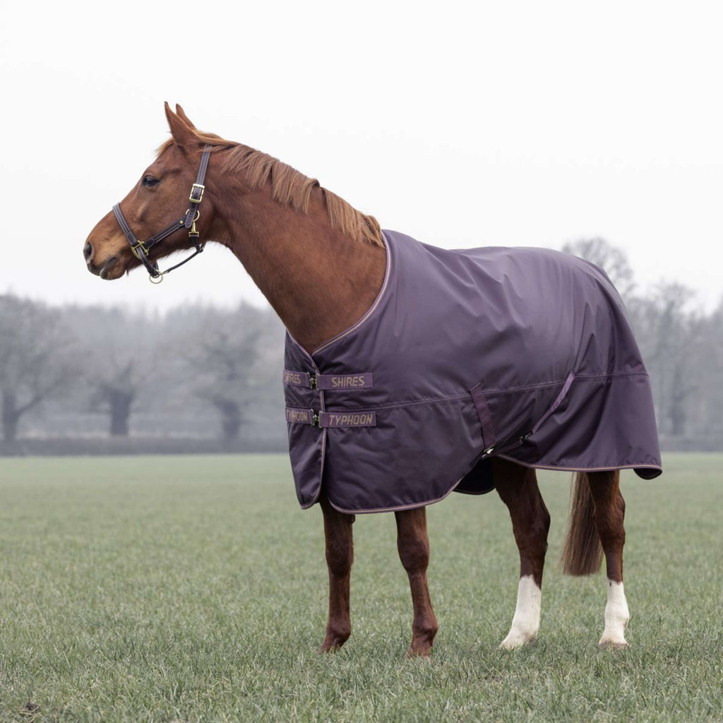 Tempest by Shires Winterdeken Turnout Typhoon 100g Black Cherry